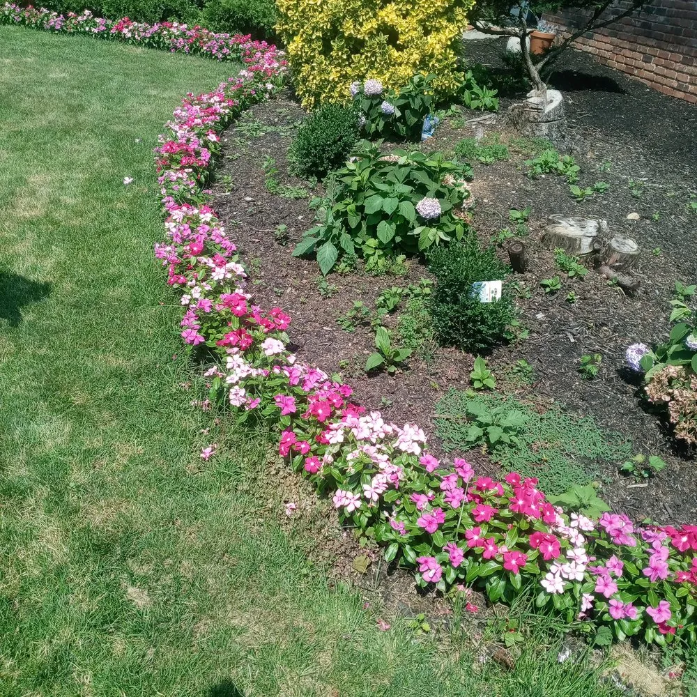 Expert yard maintenance for beautiful yards in Brentwood, NY by López Landscaping Desing and Tree Service