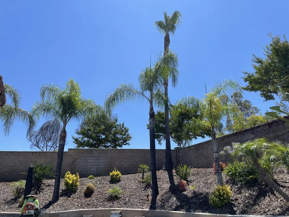 Trusted lawn care service with custom design in Riverside, CA by López Lawn and Tree Service