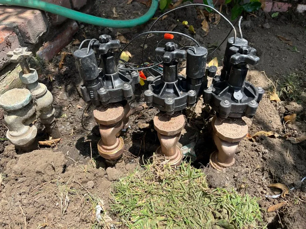 Top-rated lawn mowing service experts serving Riverside, CA - López Lawn and Tree Service