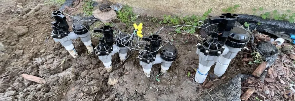 Expert yard maintenance for homes in Riverside, CA by López Lawn and Tree Service