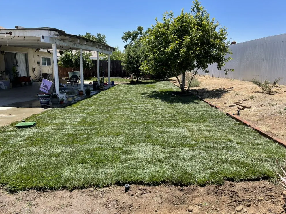 Top-rated landscaping services for year-round maintenance in Riverside, CA by López Lawn and Tree Service