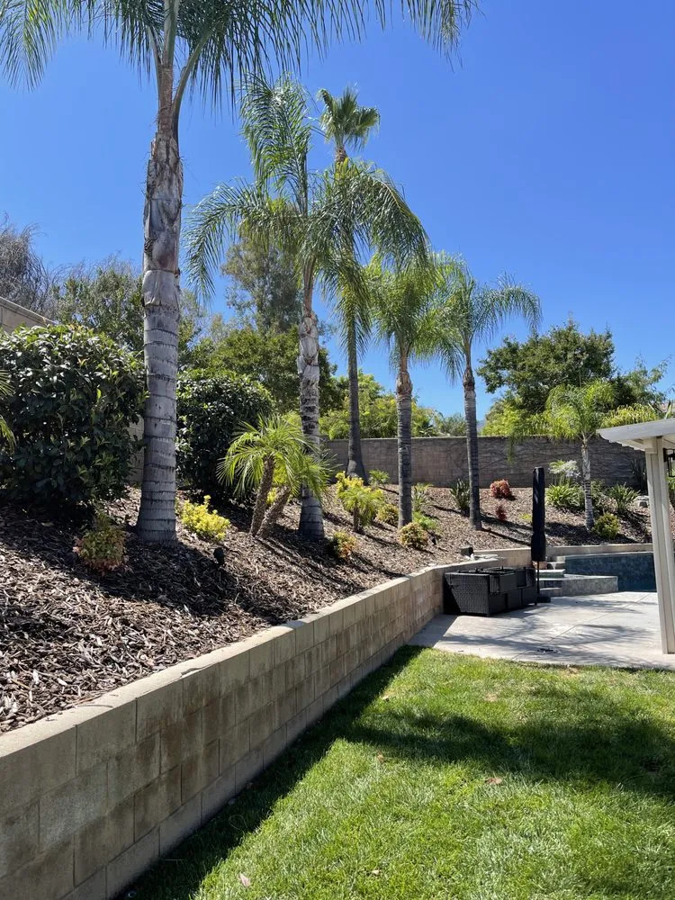Affordable yard cleanup service in Riverside, CA by López Lawn and Tree Service