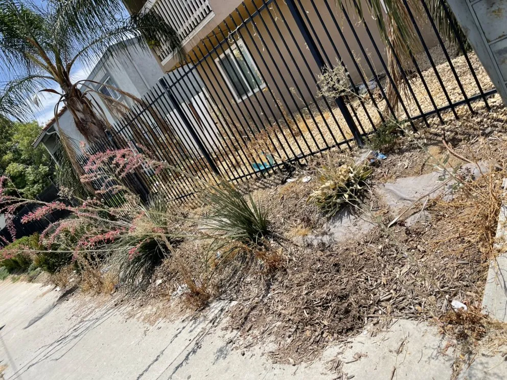 Trusted outdoor landscaping for outdoor upgrades across Riverside, CA - López Lawn and Tree Service