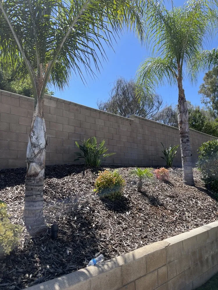 Custom lawn care service experts serving Riverside, CA - López Lawn and Tree Service