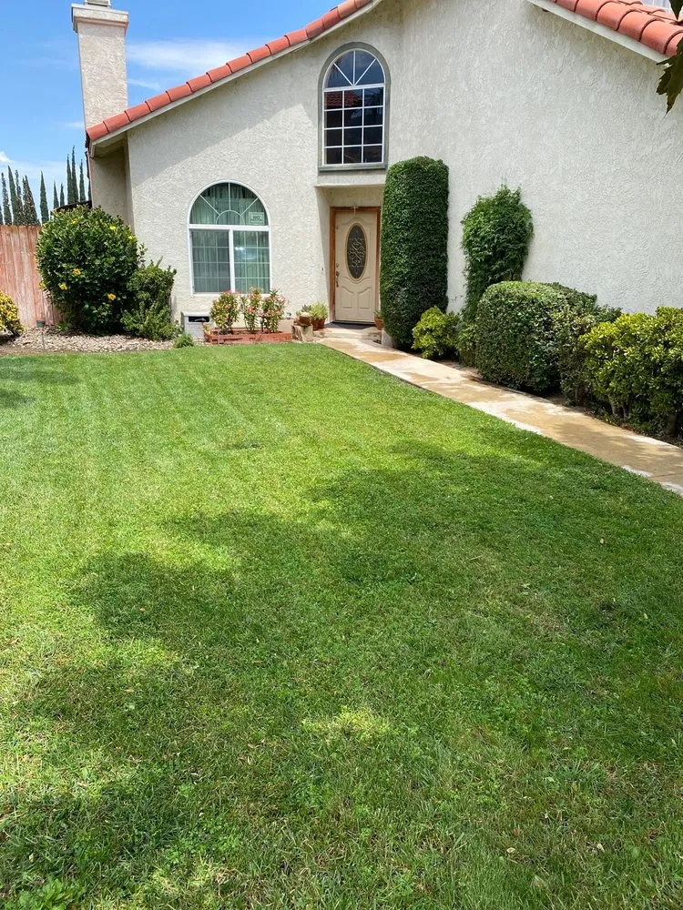 Professional outdoor landscaping in Riverside, CA by López Lawn and Tree Service