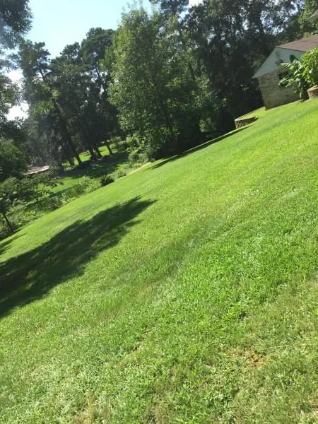 Top-rated garden landscaping for residential properties across Tyler, TX - López Lawn Service