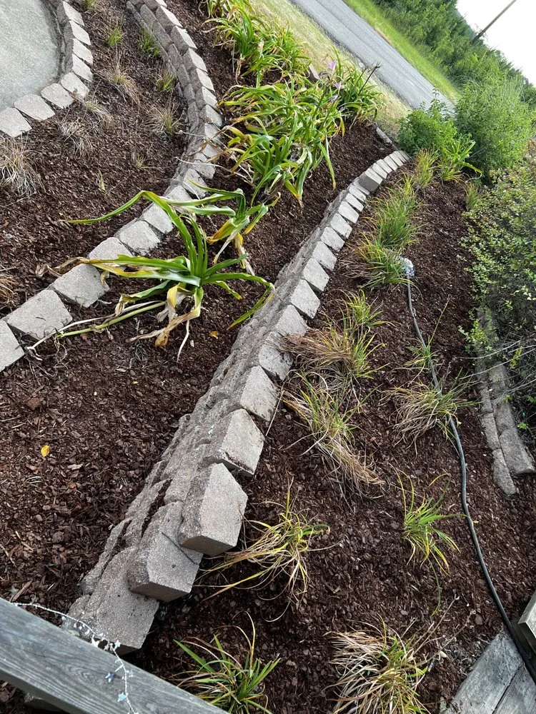 Custom yard maintenance near you in Tyler, TX by López Lawn Service