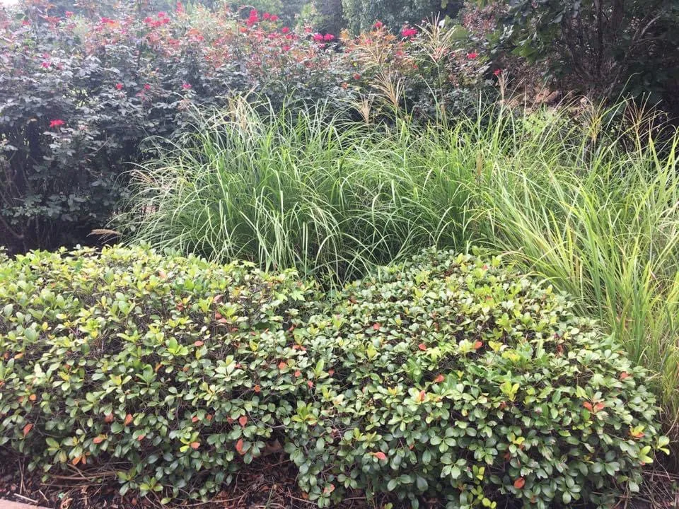 Custom outdoor landscaping in Tyler, TX - López Lawn Service