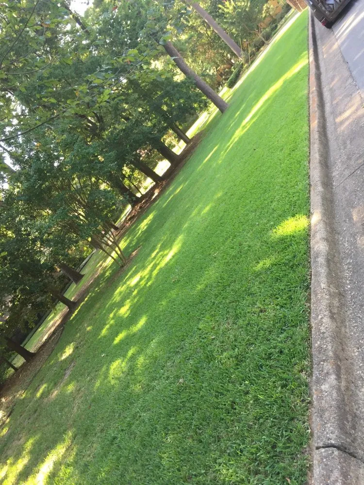 Professional residential landscaping in Tyler, TX by López Lawn Service