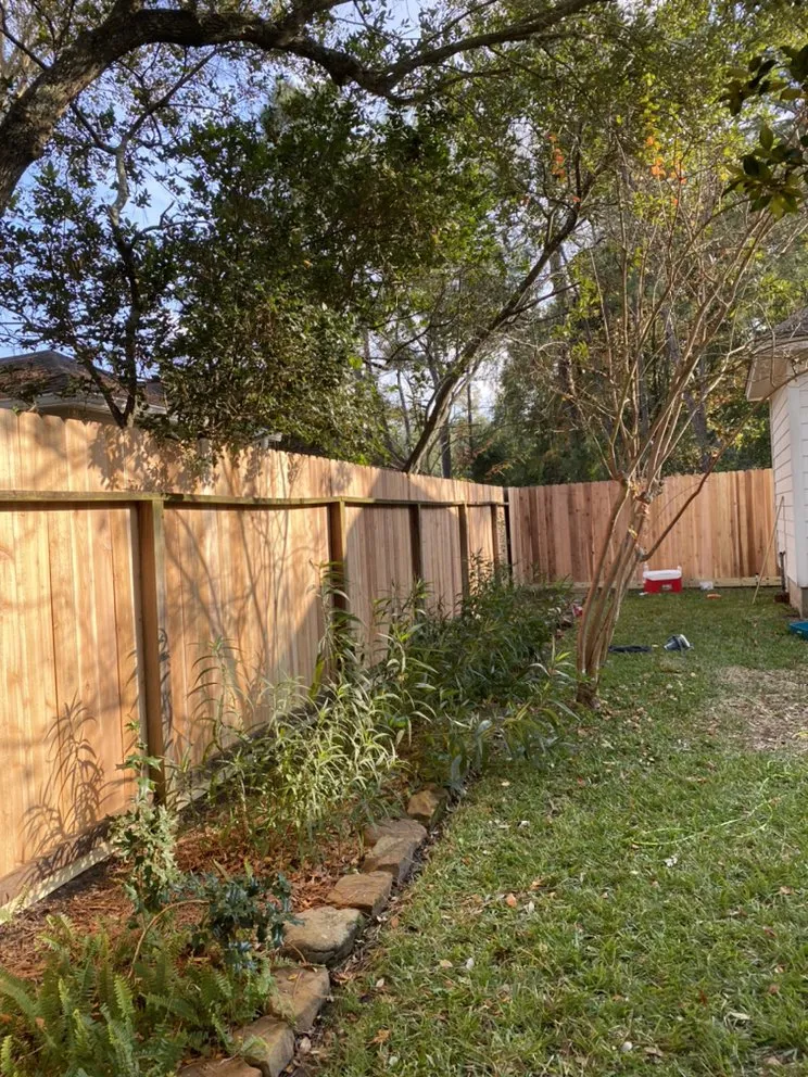 Trusted yard cleanup service in Conroe, TX - López unlimited