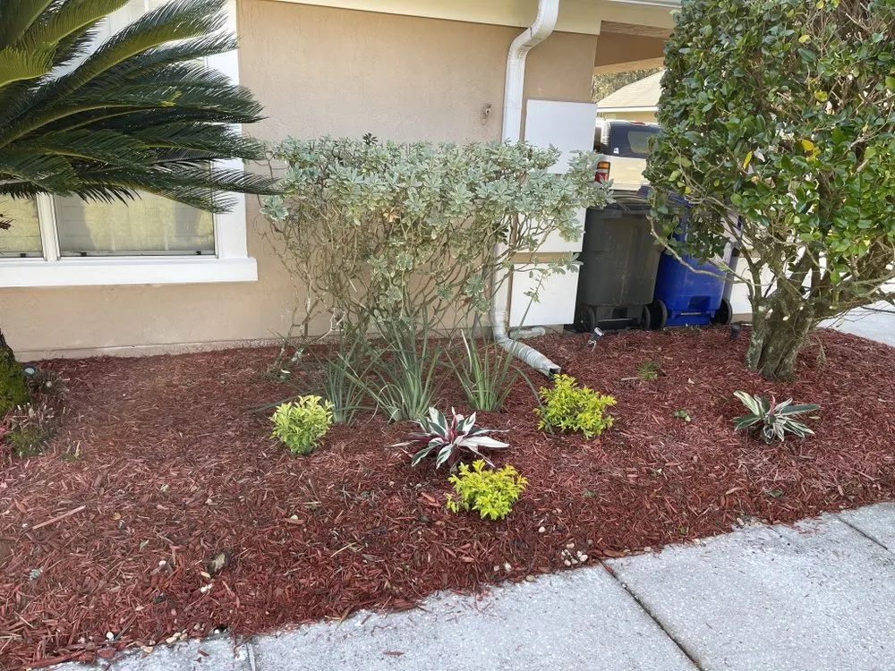 Reliable yard cleanup service in Jacksonville, FL - LPM Enterprises of Jacksonville