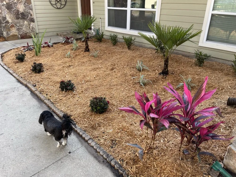 Trusted landscaping services in Jacksonville, FL by LPM Enterprises of Jacksonville