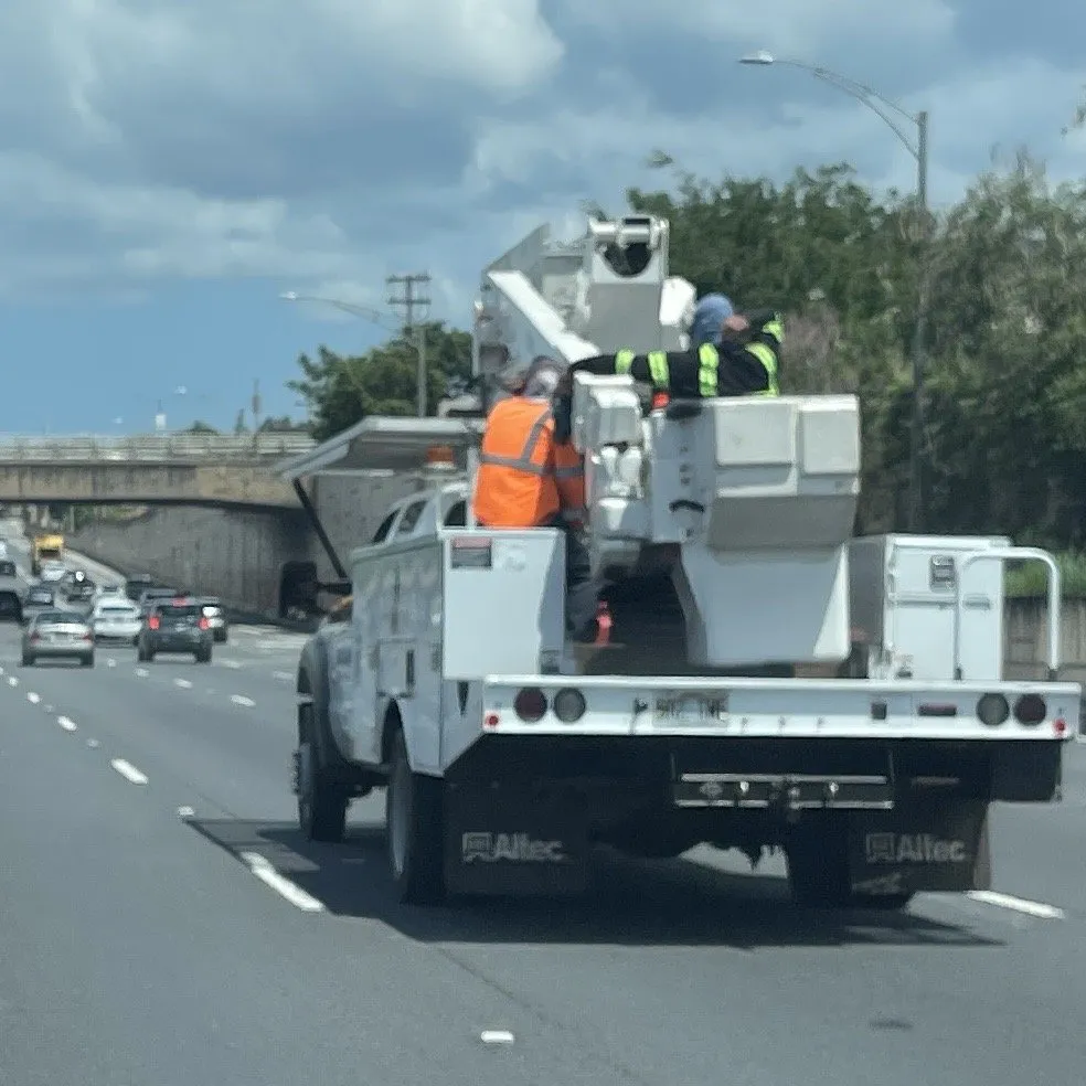 Professional lawn care service in Waialua, HI - LPN Landscaping & Tree Service