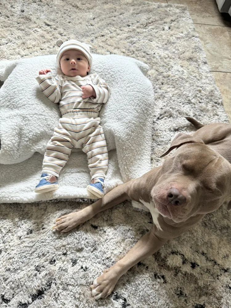 Affordable residential landscaping in Lake Havasu City, AZ by LP's Home Service