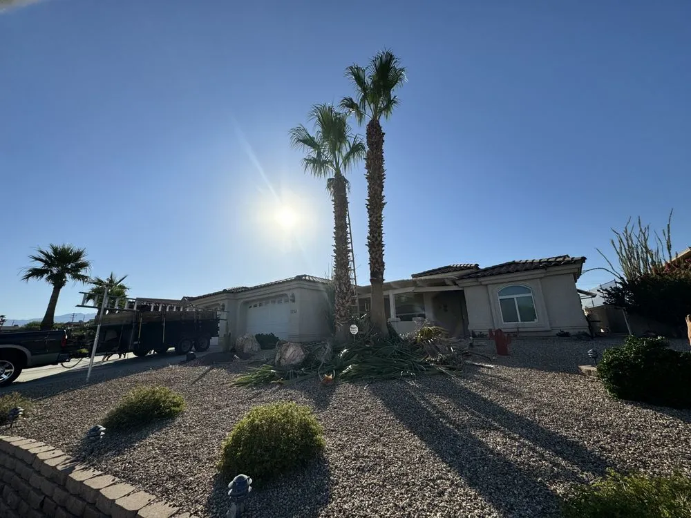 Affordable landscape design for outdoor upgrades in Lake Havasu City, AZ by LP's Home Service