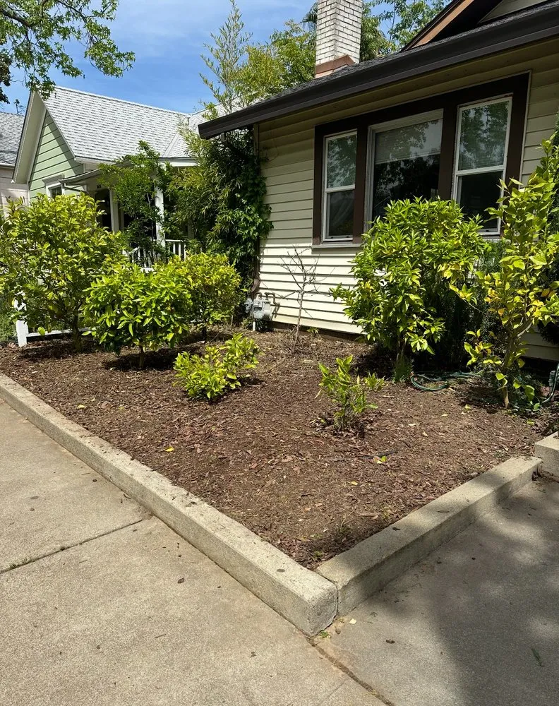 Affordable garden landscaping in Sacramento, CA by LPZ Landscape