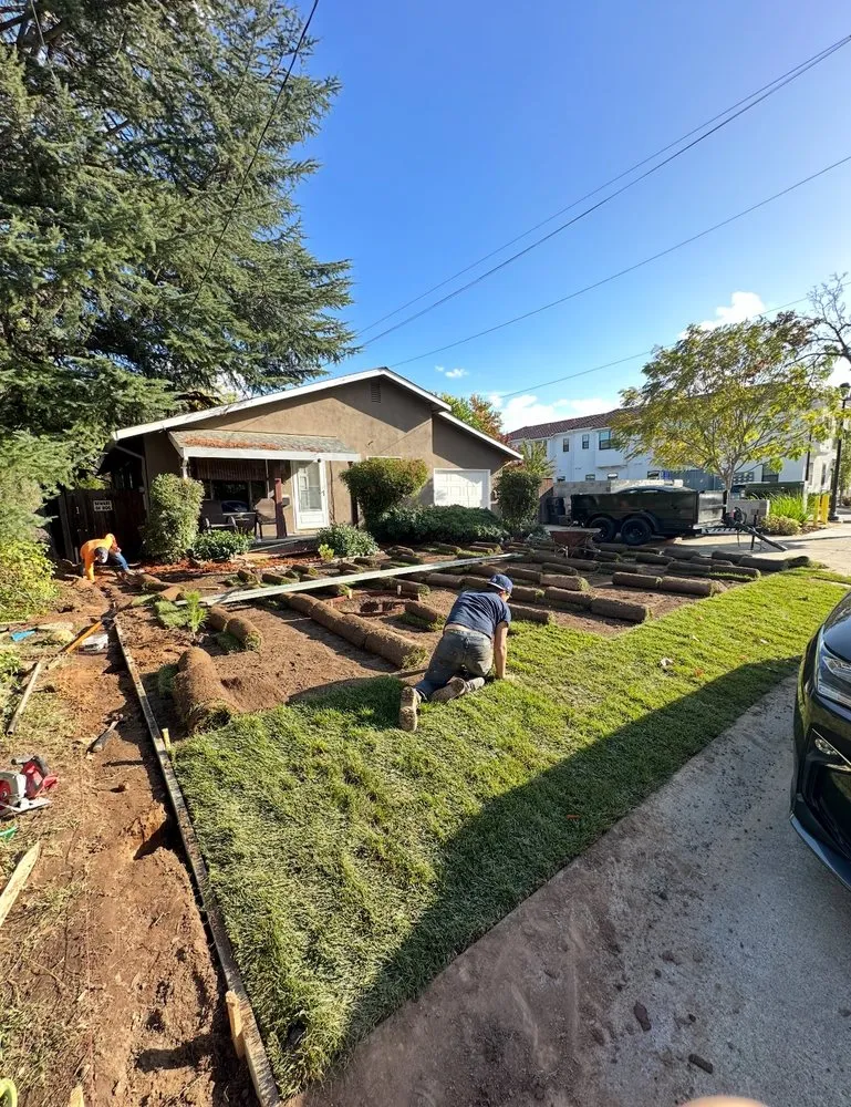 Top-rated landscape design for year-round maintenance in Sacramento, CA by LPZ Landscape