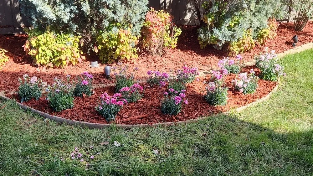 Top-rated lawn mowing service in Sacramento, CA - LPZ Landscape