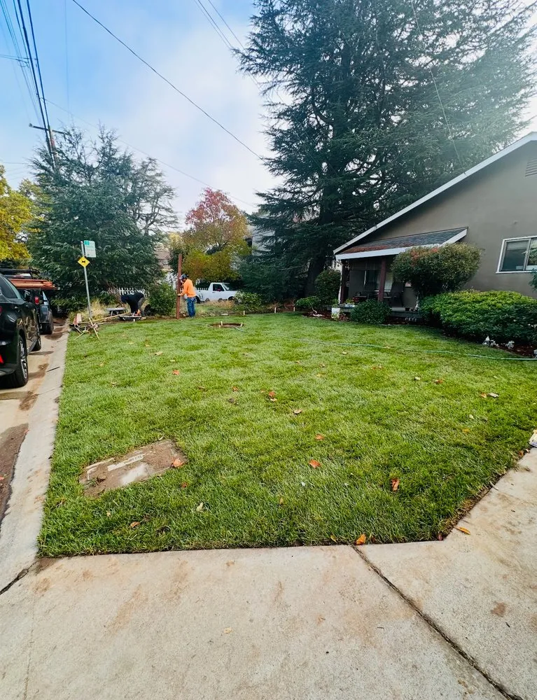 Affordable yard maintenance in Sacramento, CA by LPZ Landscape