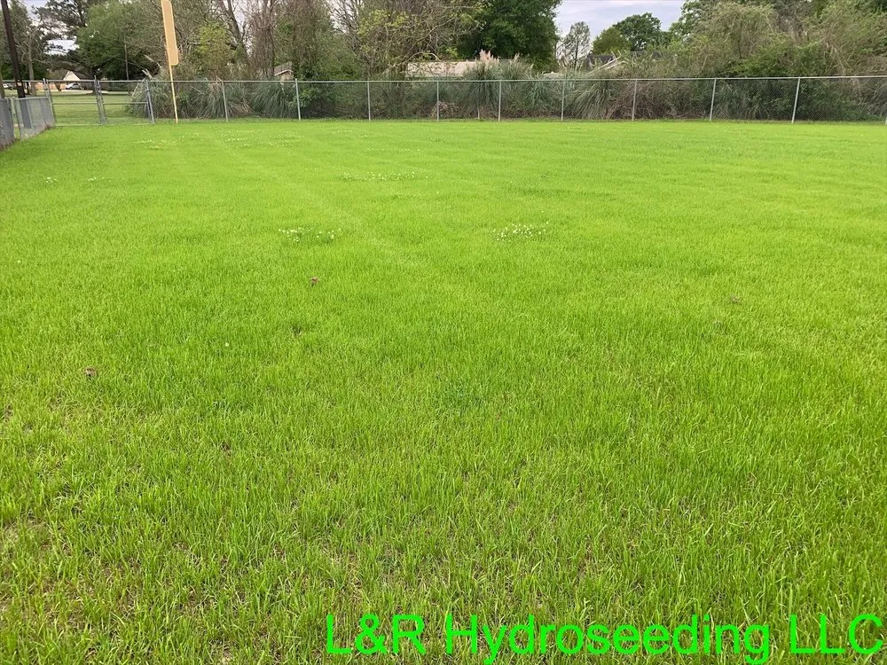 Expert garden landscaping for year-round maintenance in Port Allen, LA by L&R Hydroseeding