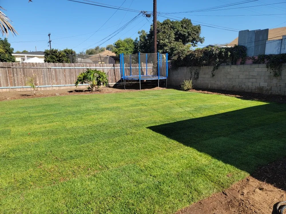 Trusted residential landscaping experts serving Chula Vista, CA - L&R Landscaping