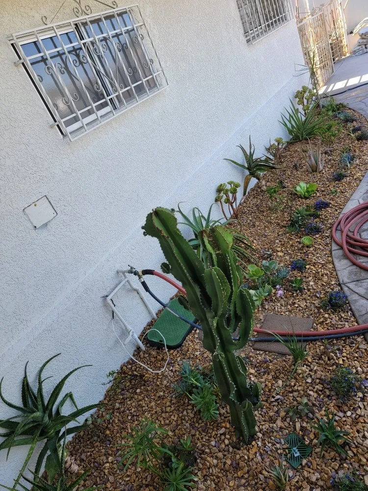Professional residential landscaping for residential properties in Chula Vista, CA by L&R Landscaping