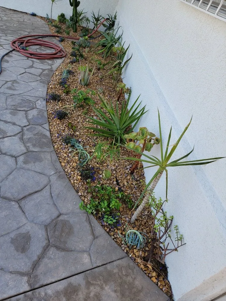 Trusted landscape installation near you across Chula Vista, CA - L&R Landscaping