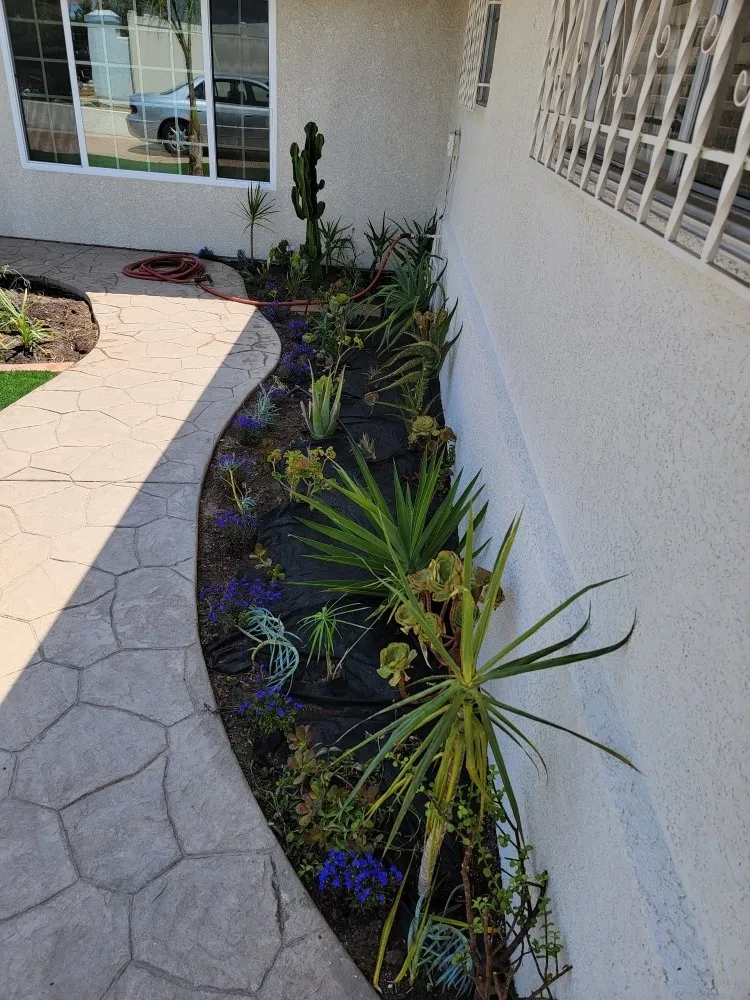 Custom landscaping services in Chula Vista, CA by L&R Landscaping