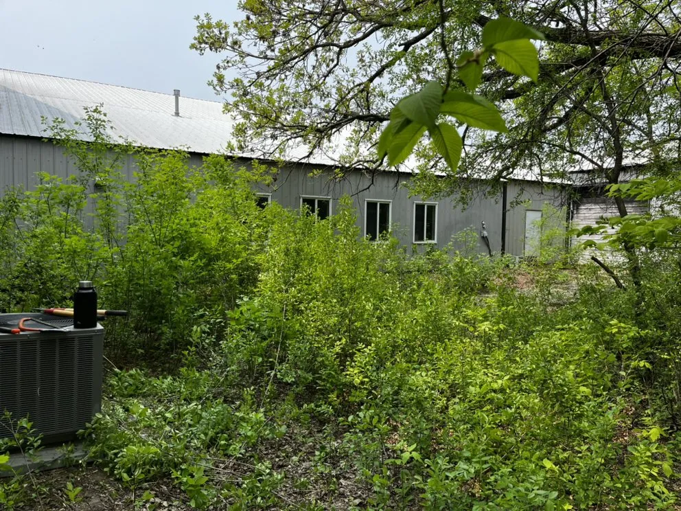 Top-rated lawn care service in Howard Lake, MN - LR Landscaping