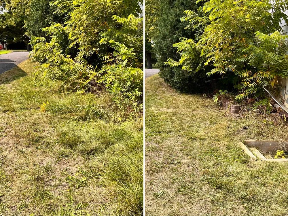 Local garden landscaping experts serving Howard Lake, MN - LR Landscaping