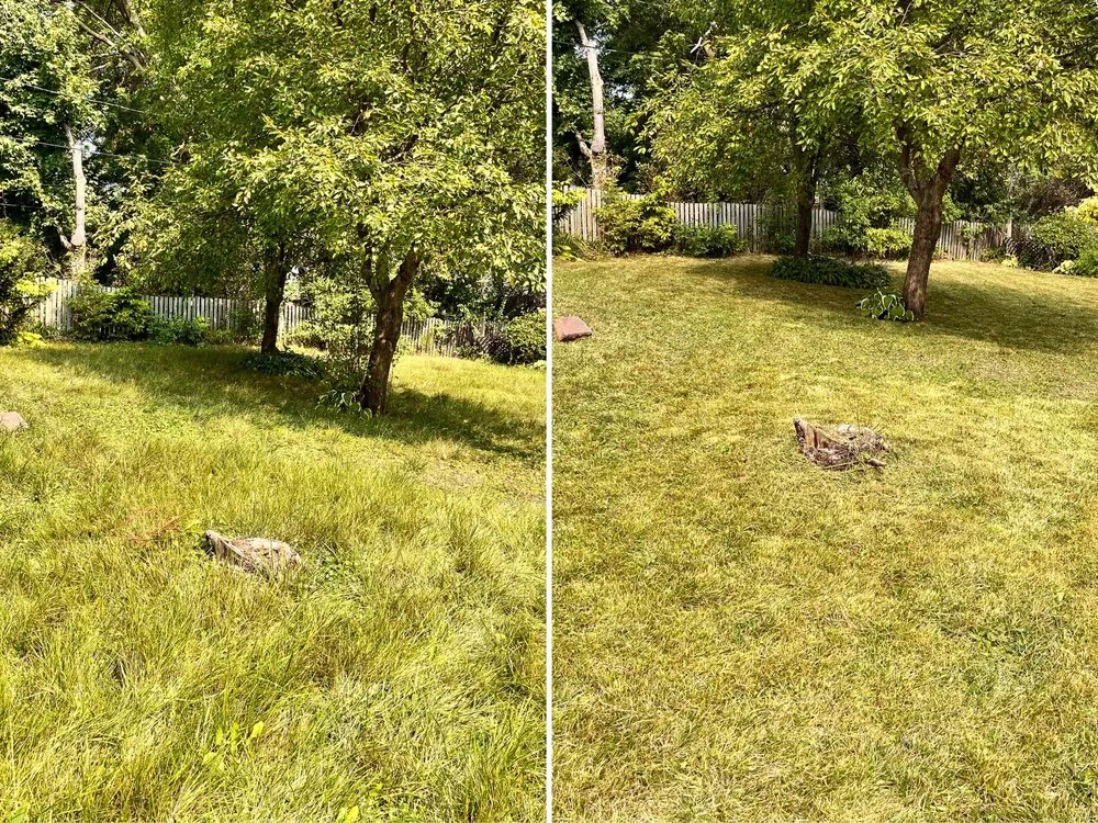 Affordable residential landscaping in Howard Lake, MN - LR Landscaping