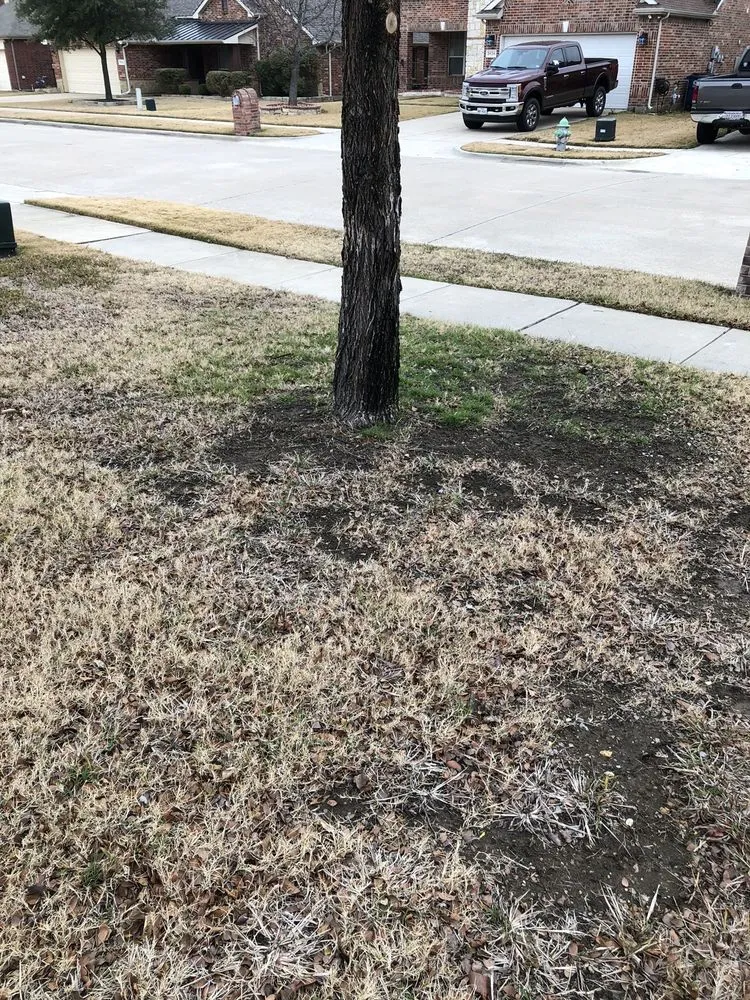 Trusted outdoor landscaping for homes in McKinney, TX by LR Landscaping