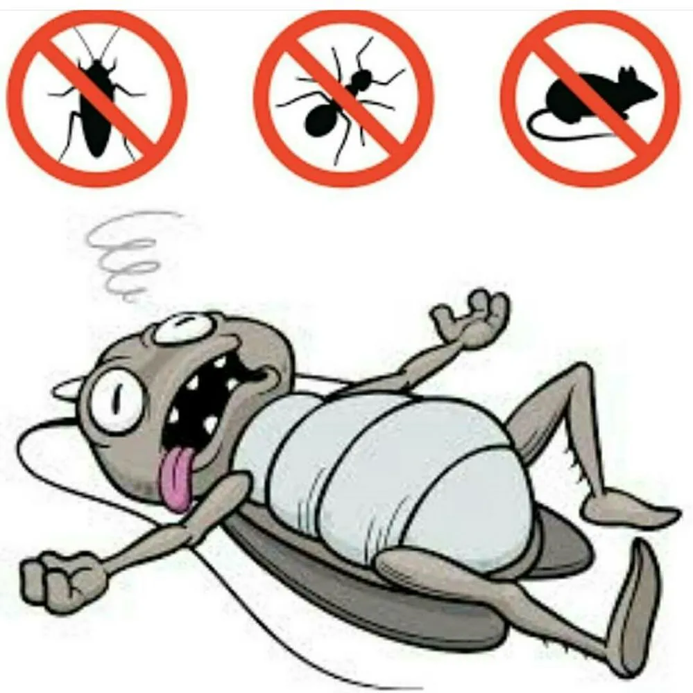 Local garden landscaping experts serving Altamonte Springs, FL - LR Lawn and Ornamental Pest Control