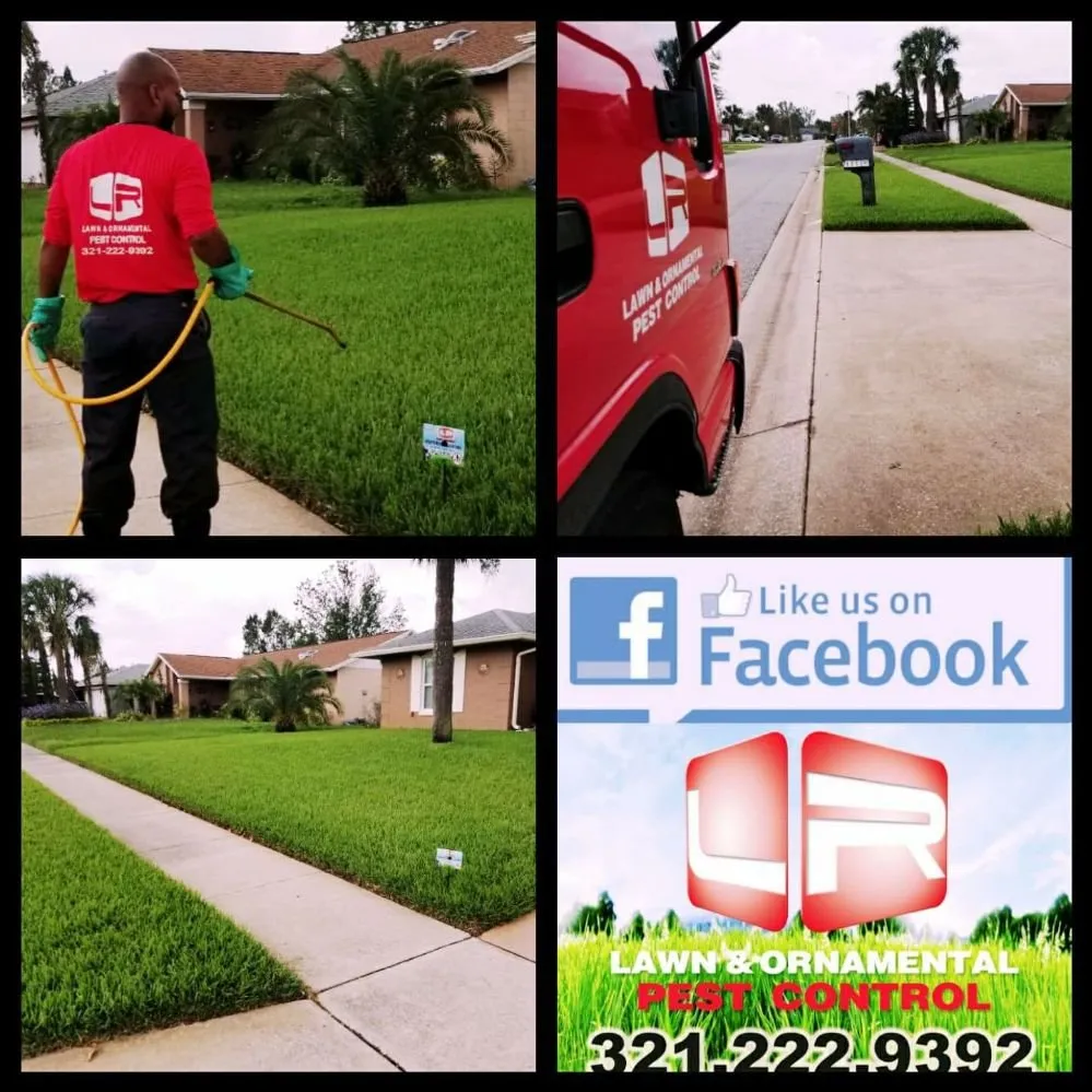 Expert garden landscaping in Altamonte Springs, FL by LR Lawn and Ornamental Pest Control