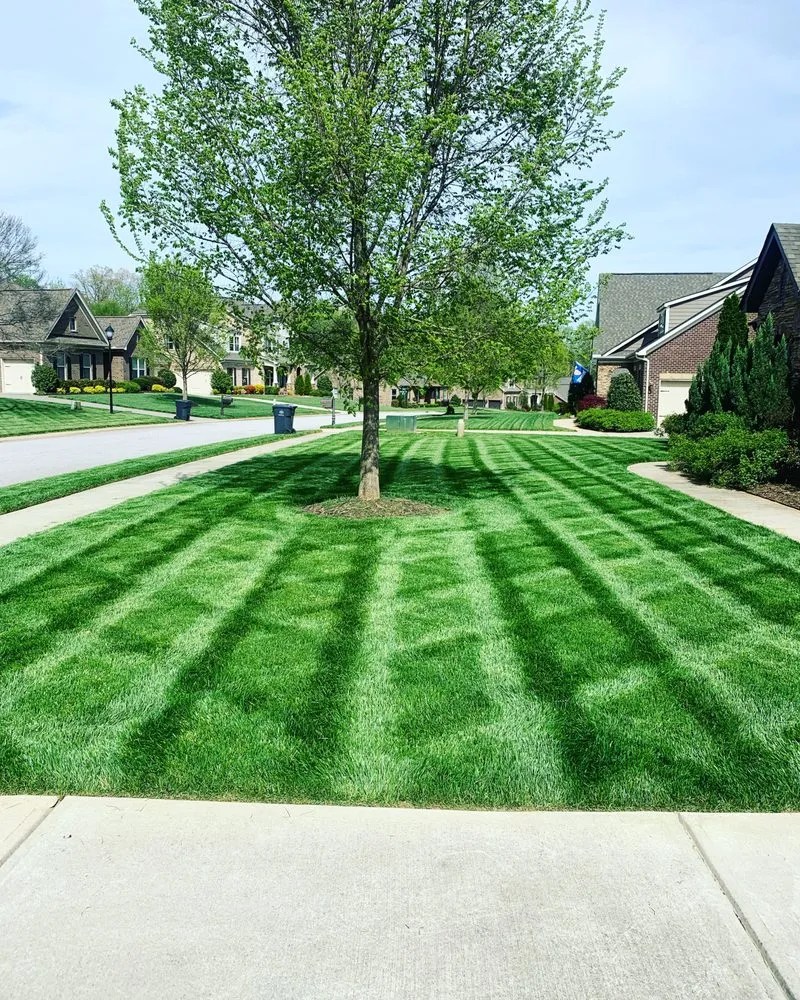 Expert lawn care service for residential properties across Fort Mill, SC - L&R Lawn Care & Landscaping