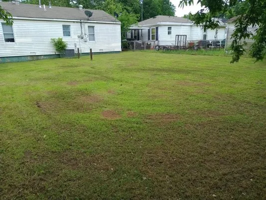 L&R Lawn Service Plus Logo