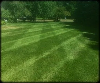 Reliable lawn mowing service experts serving Andover, MN - LR Lawns