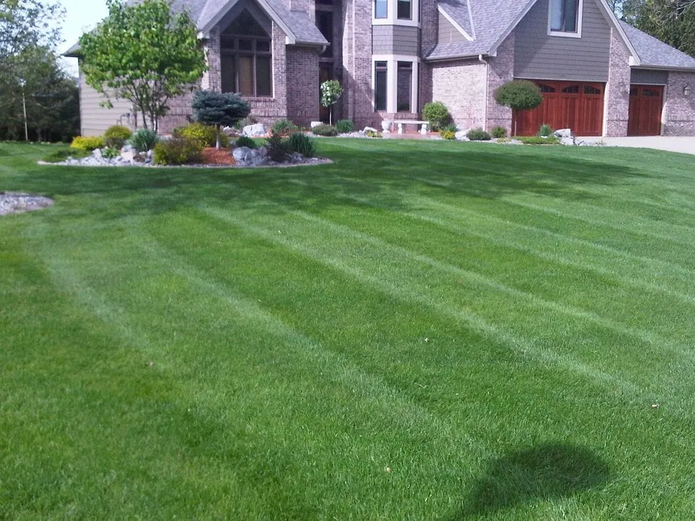 Reliable yard cleanup service near you across Andover, MN - LR Lawns