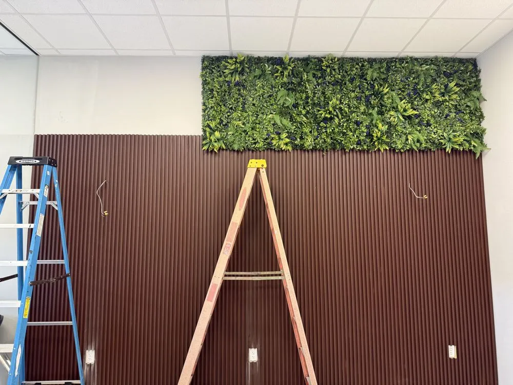 Affordable yard maintenance in Sanford, FL by LR Multiservices