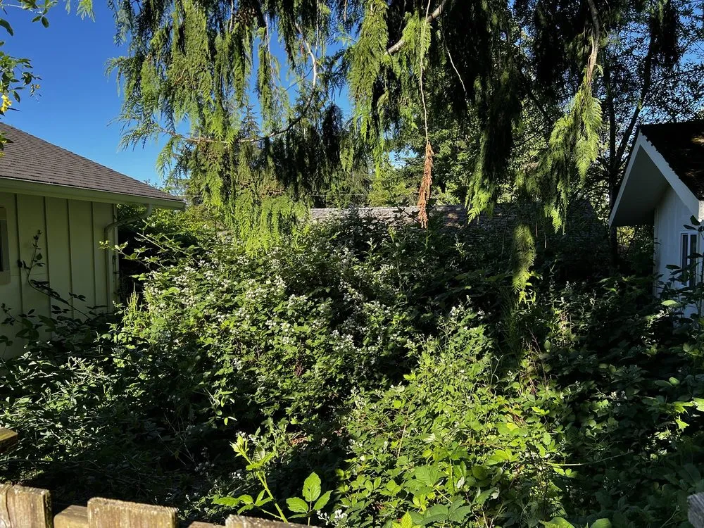 Custom lawn care service for outdoor upgrades across Everett, WA - LRA Landscaping