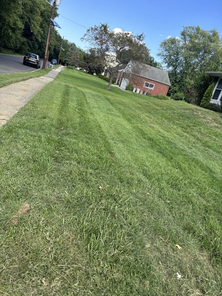 Local lawn care service in Swedesboro, NJ by LRA Landscaping