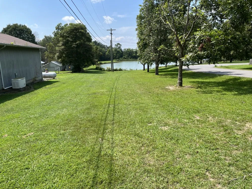 Expert yard cleanup service experts serving Guntersville, AL - LRA Lawn Care