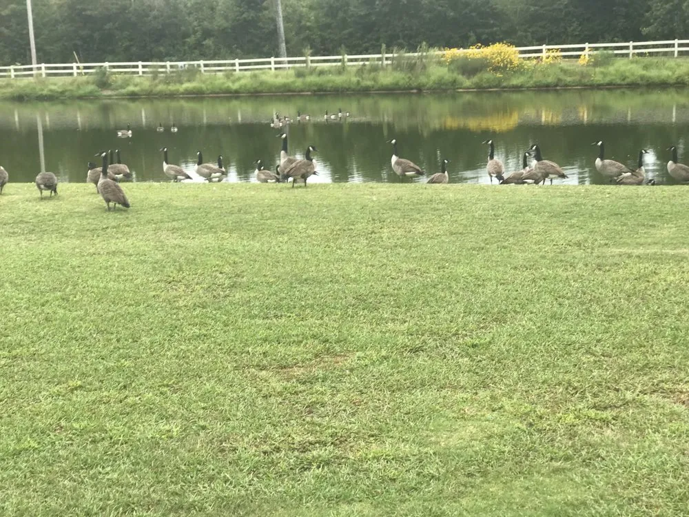 Affordable landscaping services in Guntersville, AL - LRA Lawn Care