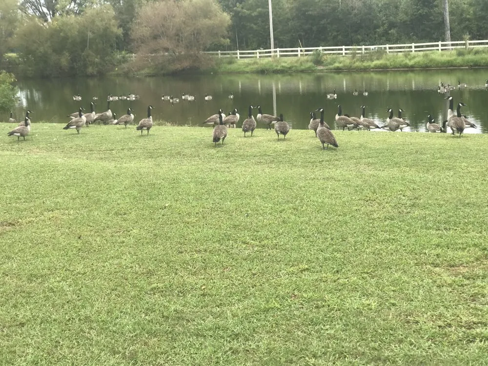 Local outdoor landscaping experts serving Guntersville, AL - LRA Lawn Care