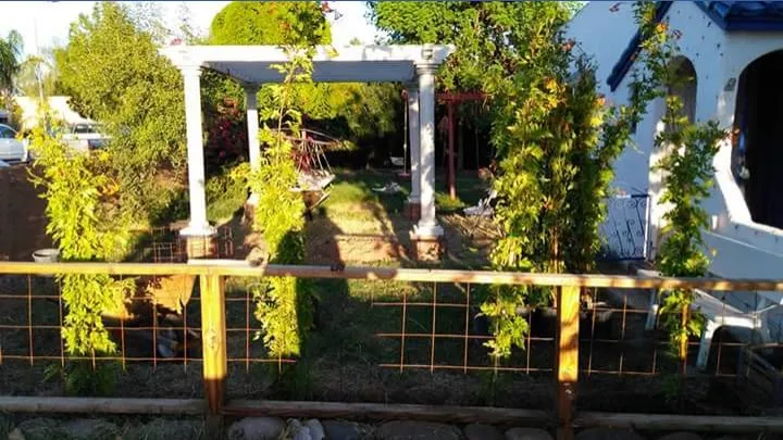 Reliable landscaping services in Phoenix, AZ by LRB Service