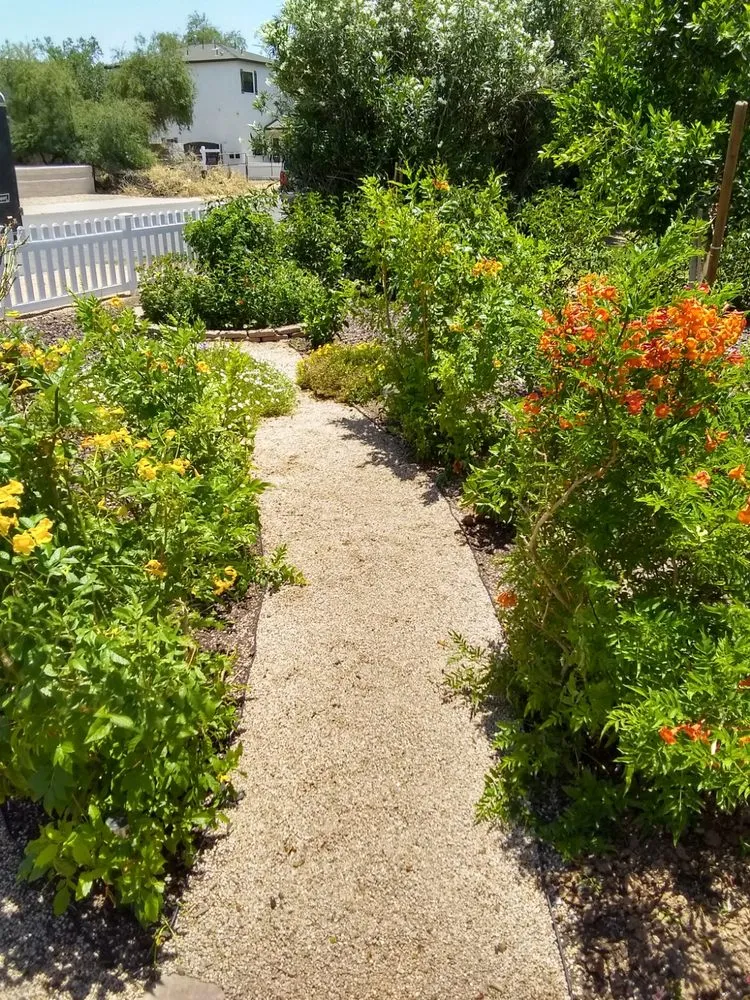 Affordable landscape design in Phoenix, AZ - LRB Service