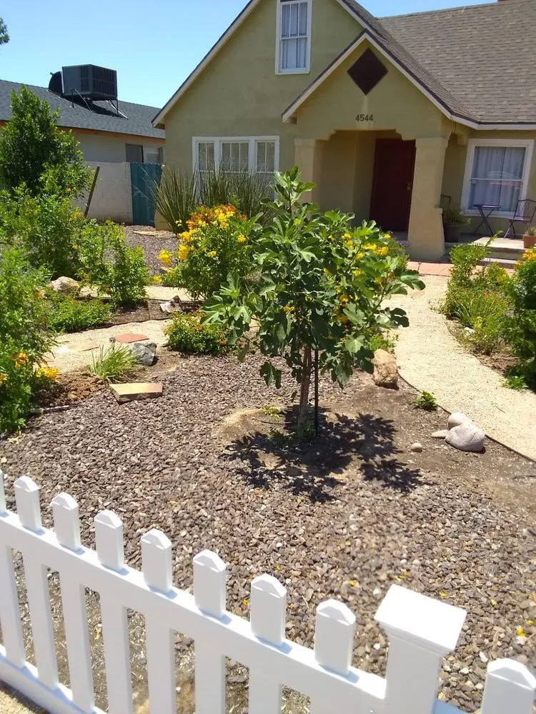 Reliable landscaping services in Phoenix, AZ by LRB Service