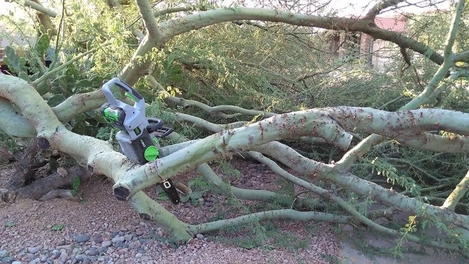 Top-rated outdoor landscaping with custom design across Phoenix, AZ - LRB Service