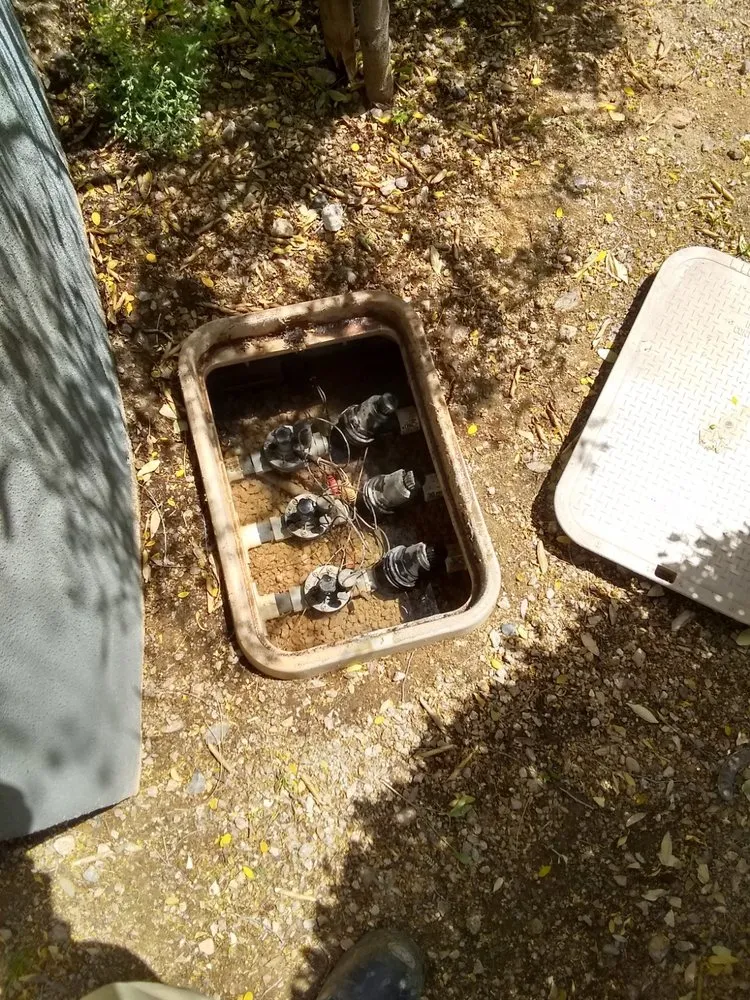 Top-rated landscape design in Phoenix, AZ by LRB Service