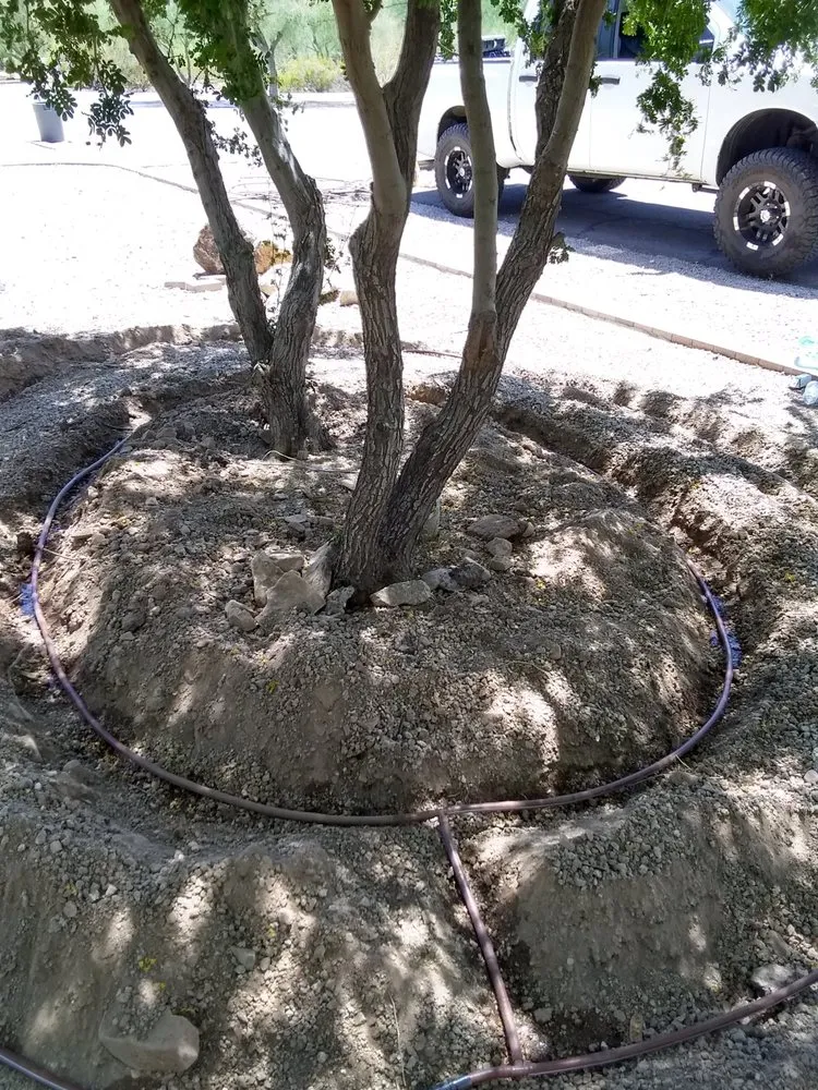 Professional yard cleanup service with custom design across Phoenix, AZ - LRB Service